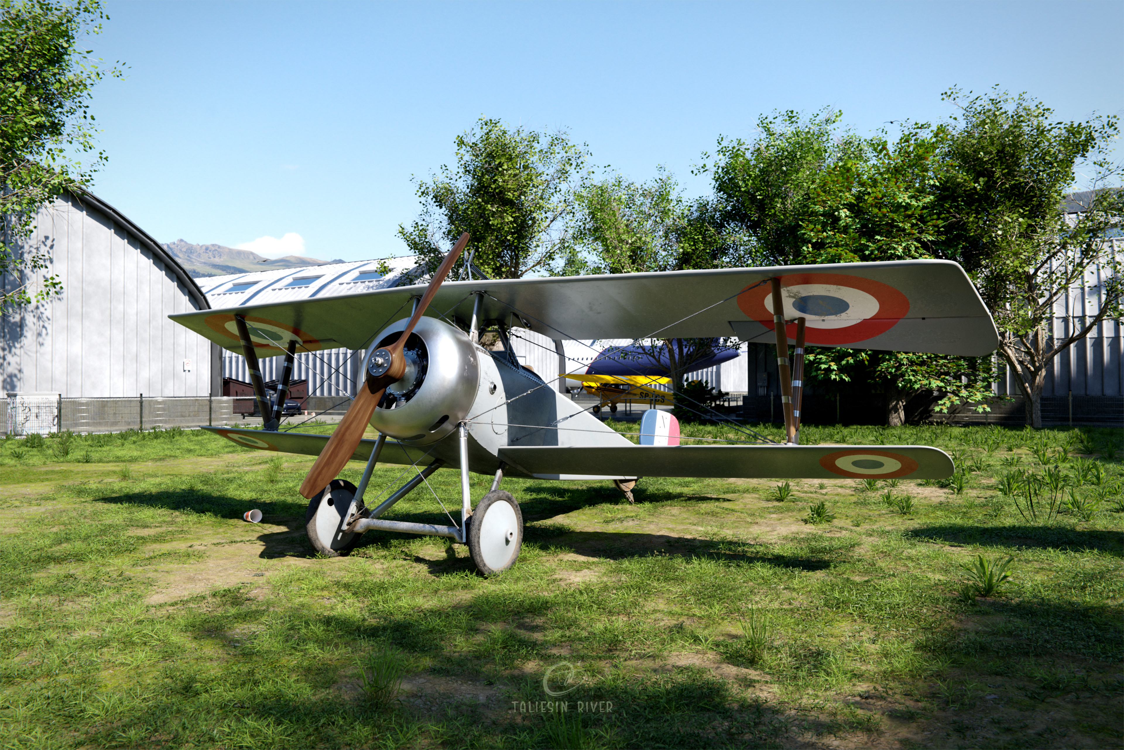 Airplane show render