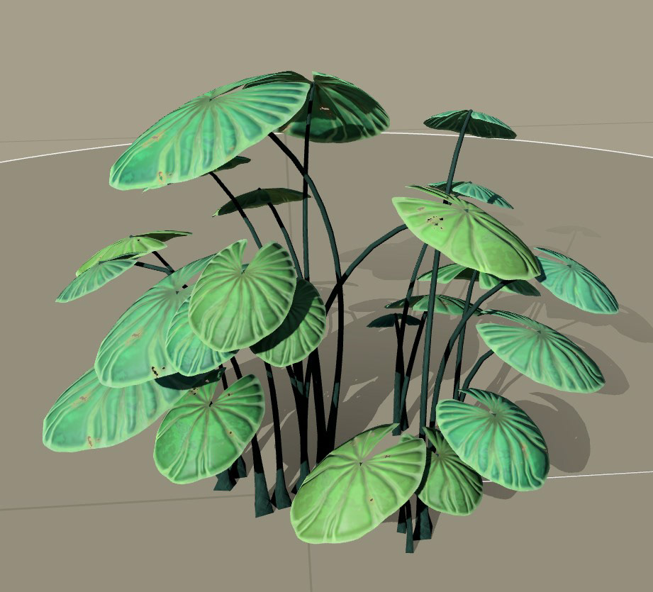 Roundleaf Old