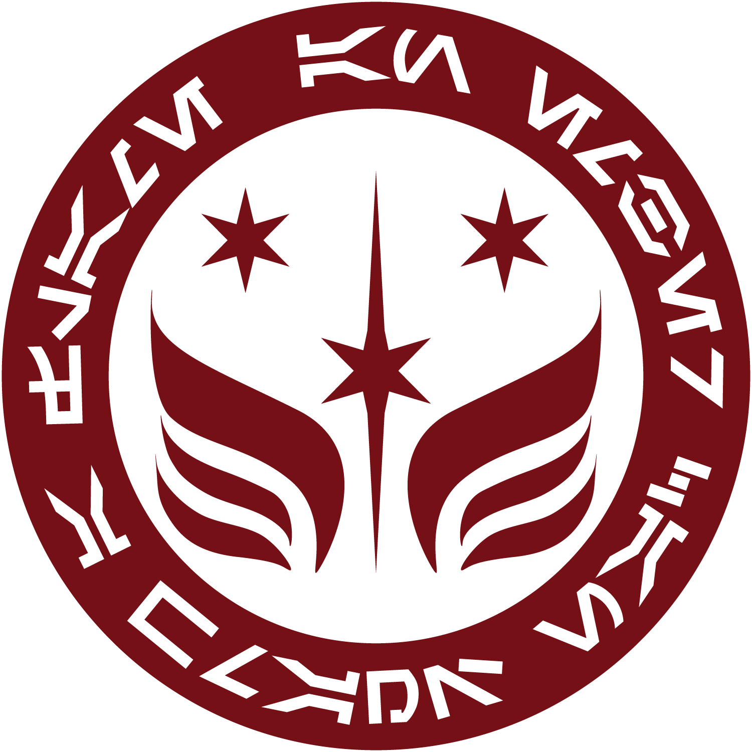 Ember Squadron Star Wars AP logo