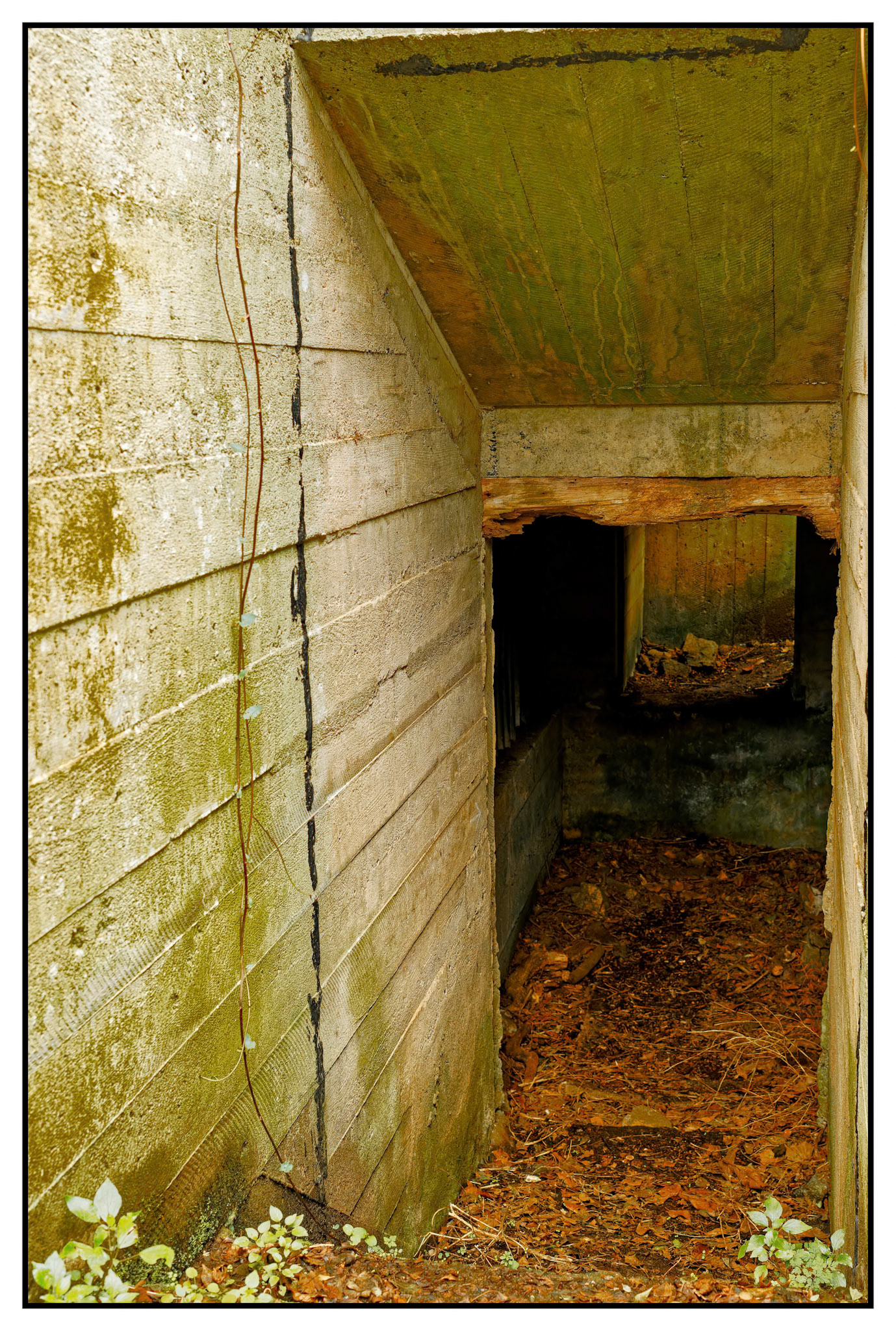 During the occupation, the Nazi forces built additional tunnels and bunkers into the castles surrounds.