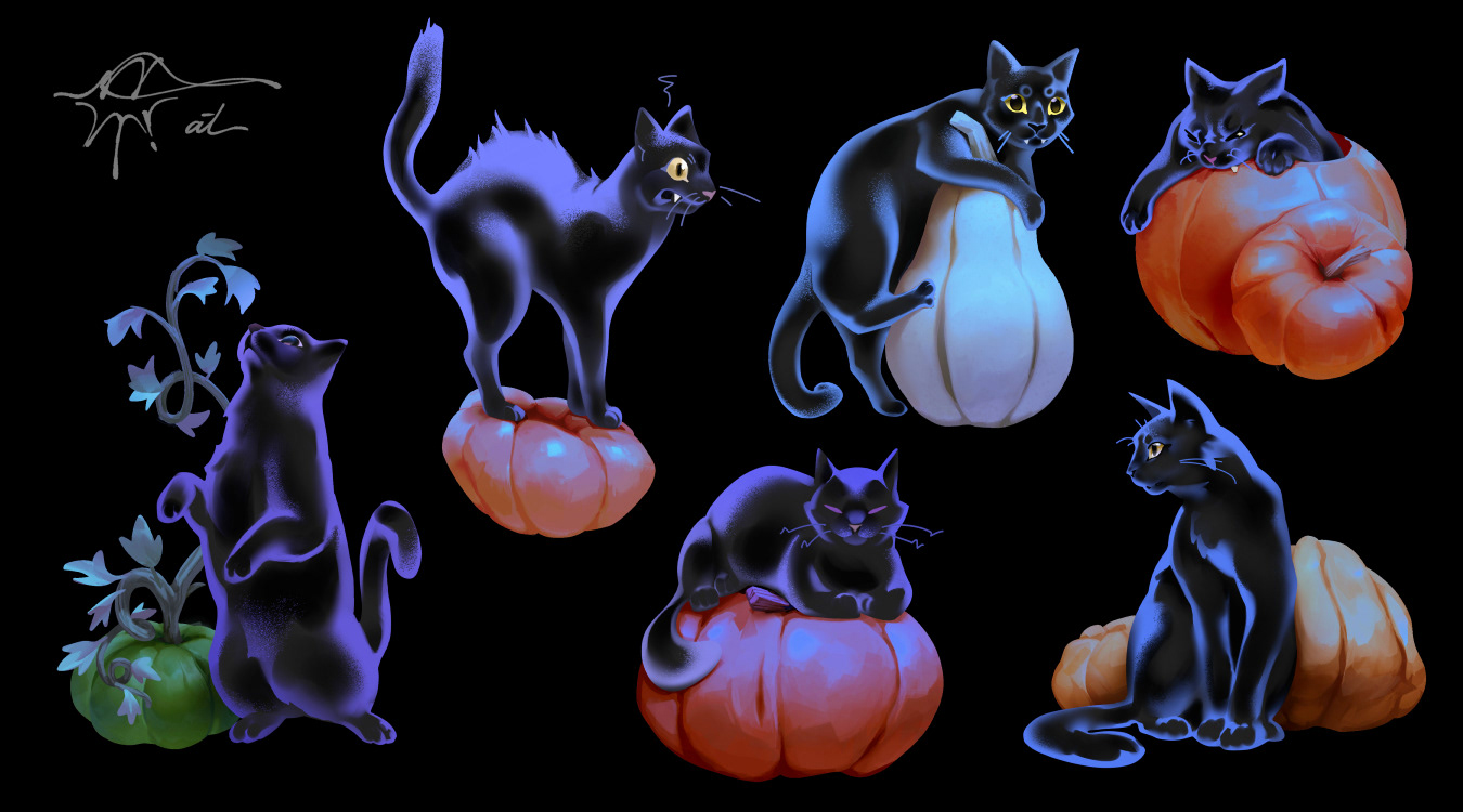 [2025] cats+pumpkins