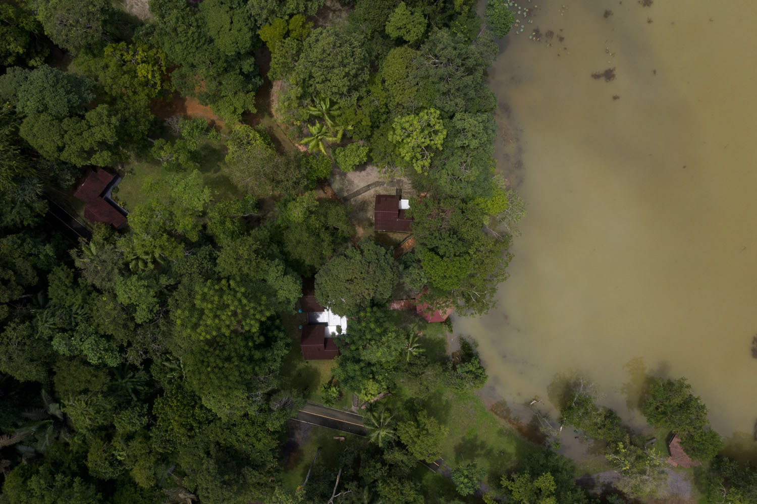 Our bungalows, situated beside the natural lake.