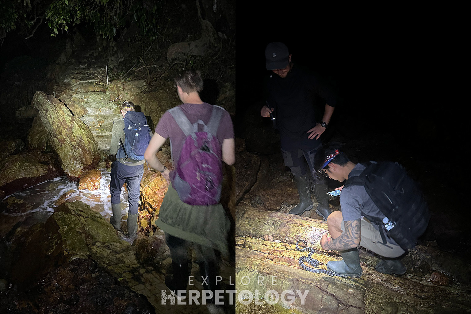 Hiking a coastal trail for sea kraits.