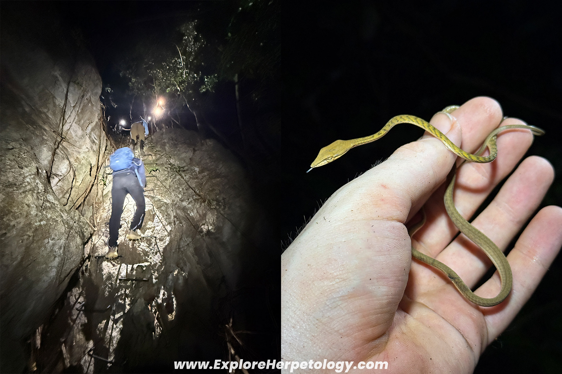 Steep climbs and skinny snakes.