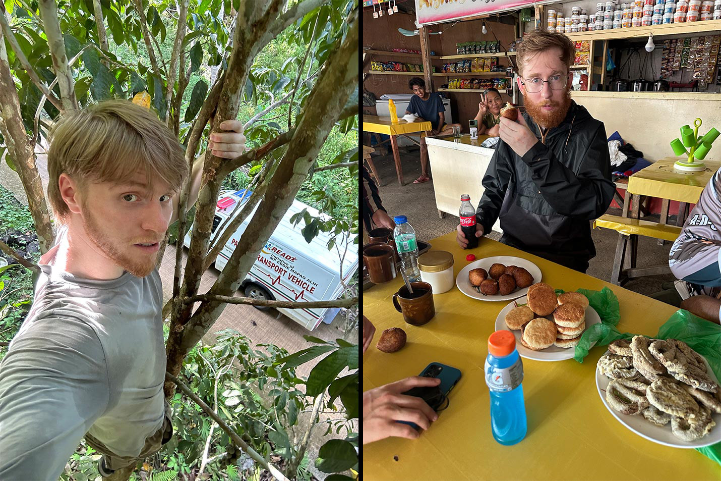 Left: Climbing trees to search for Tropidolaemus. Right: Local snacks.
