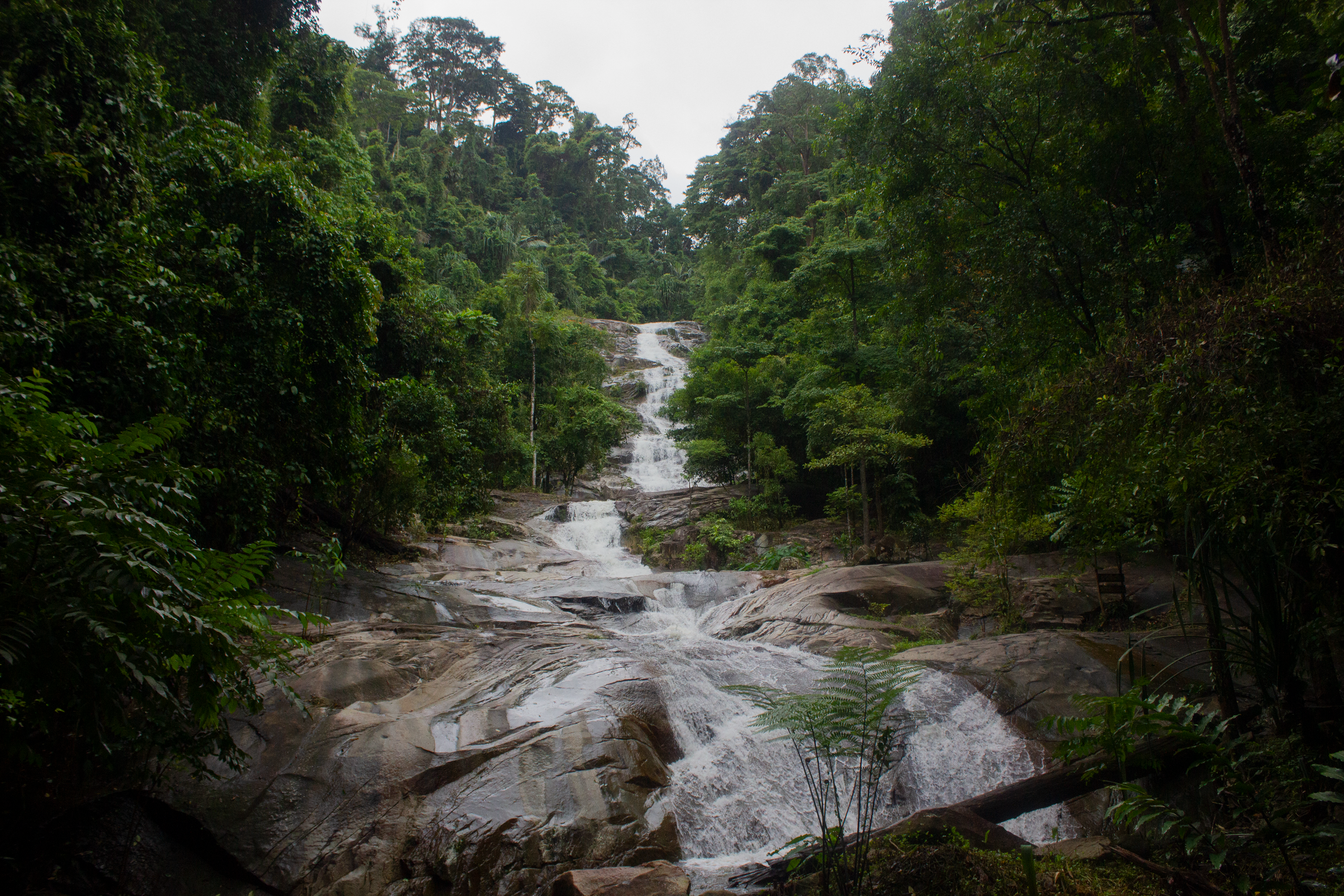 Rainforest waterfall, Trang