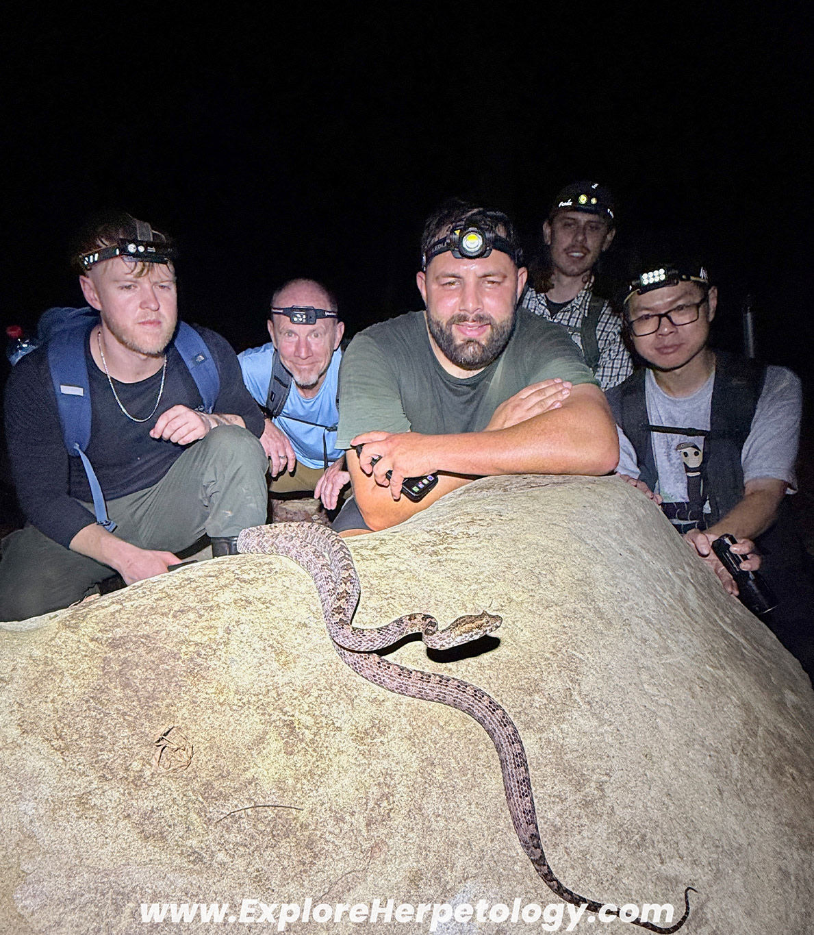 A big female Protobothrops sieversorum.