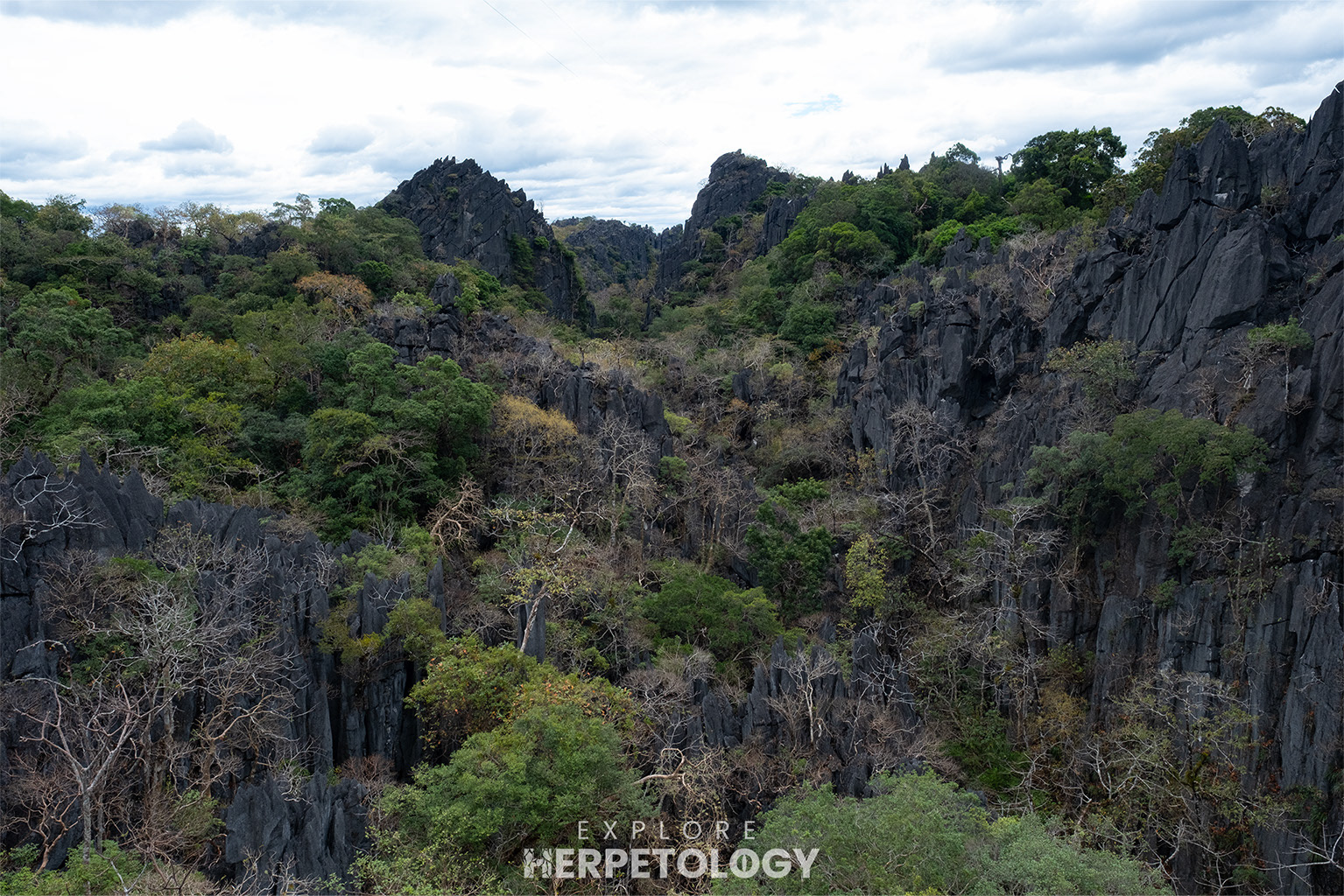 Limestone karst formations.