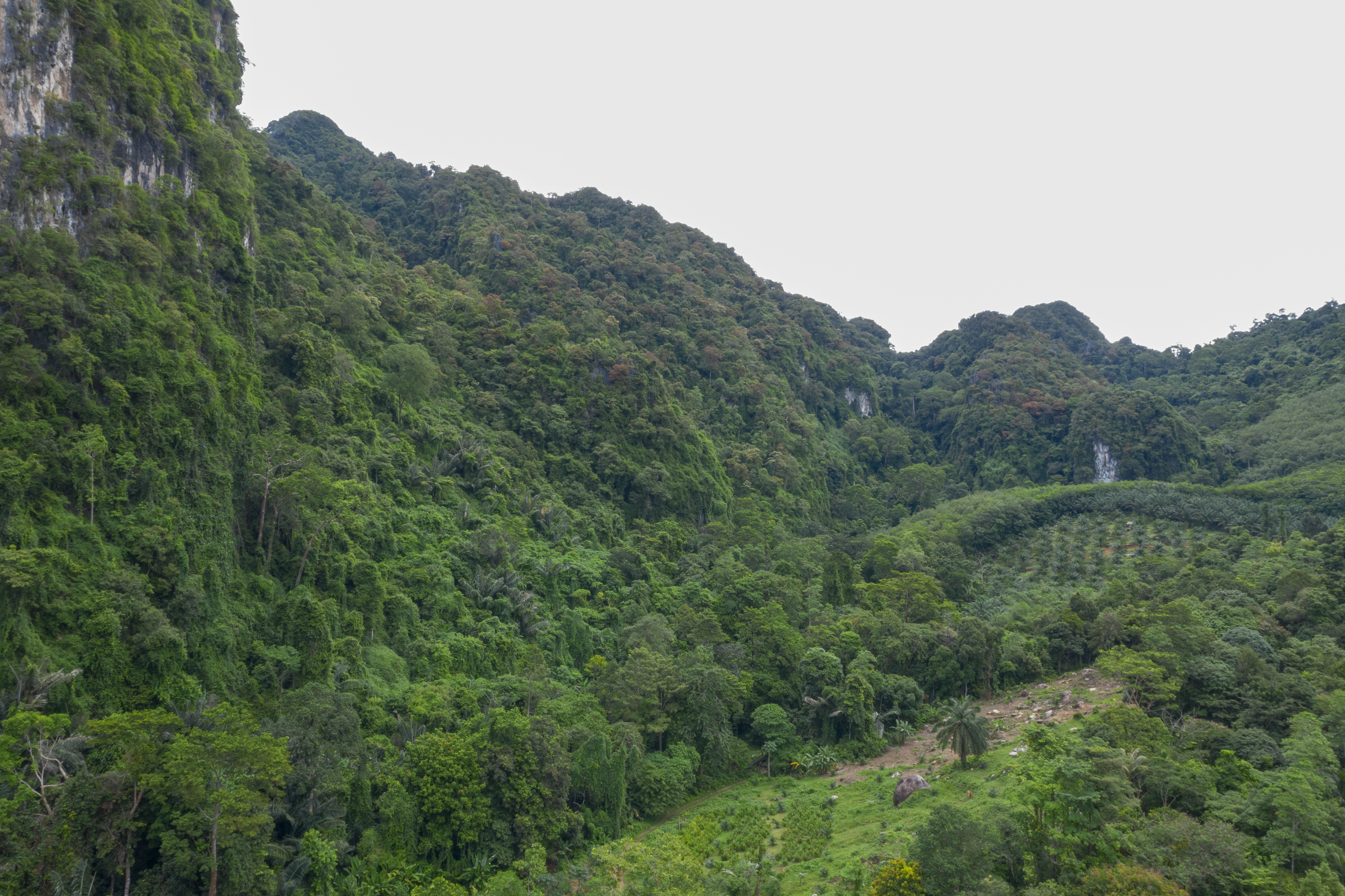 Limestone karst formations in Krabi