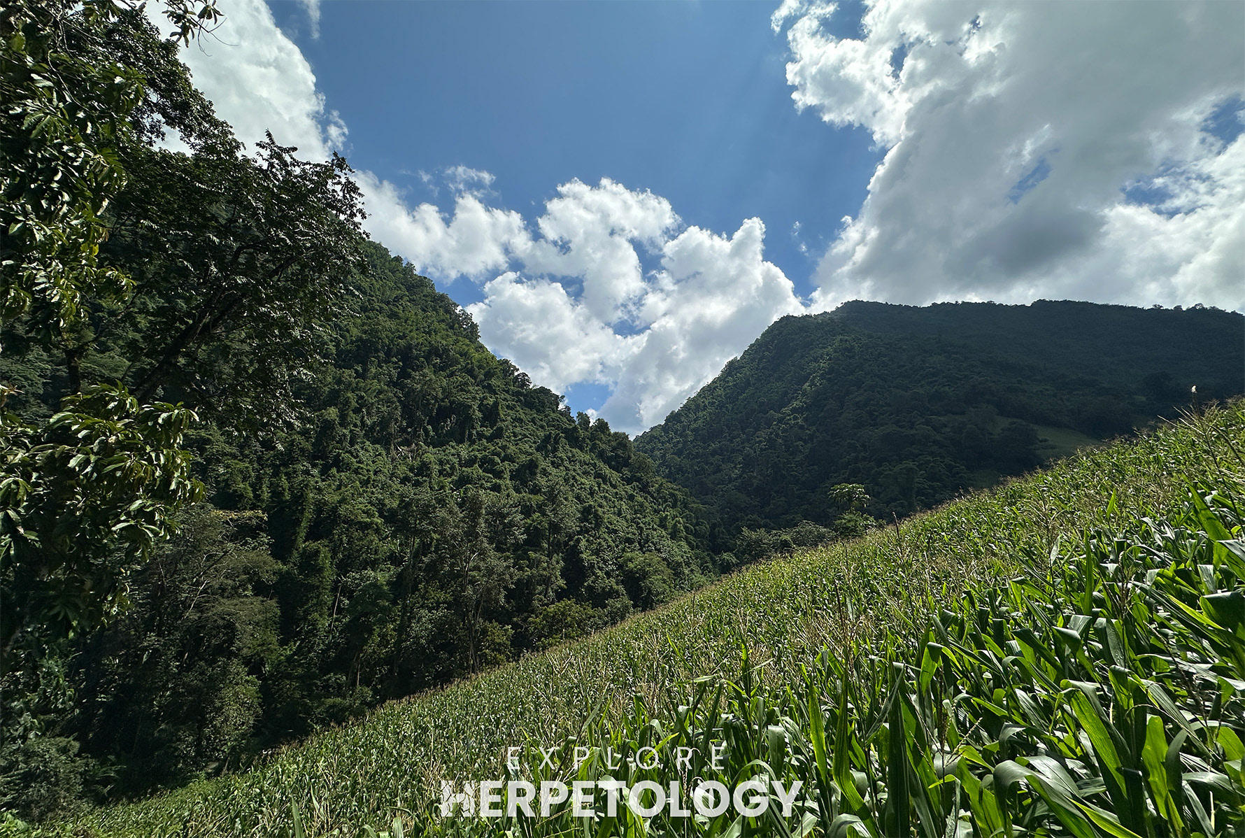 Northern Thailand scenery