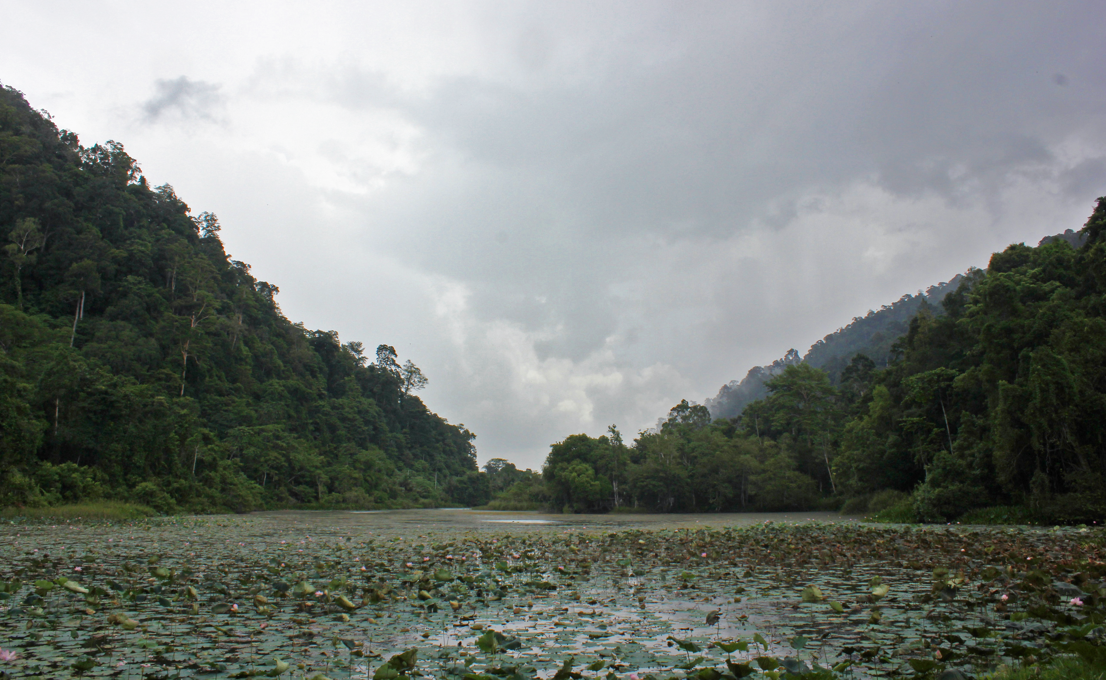 Thale Ban