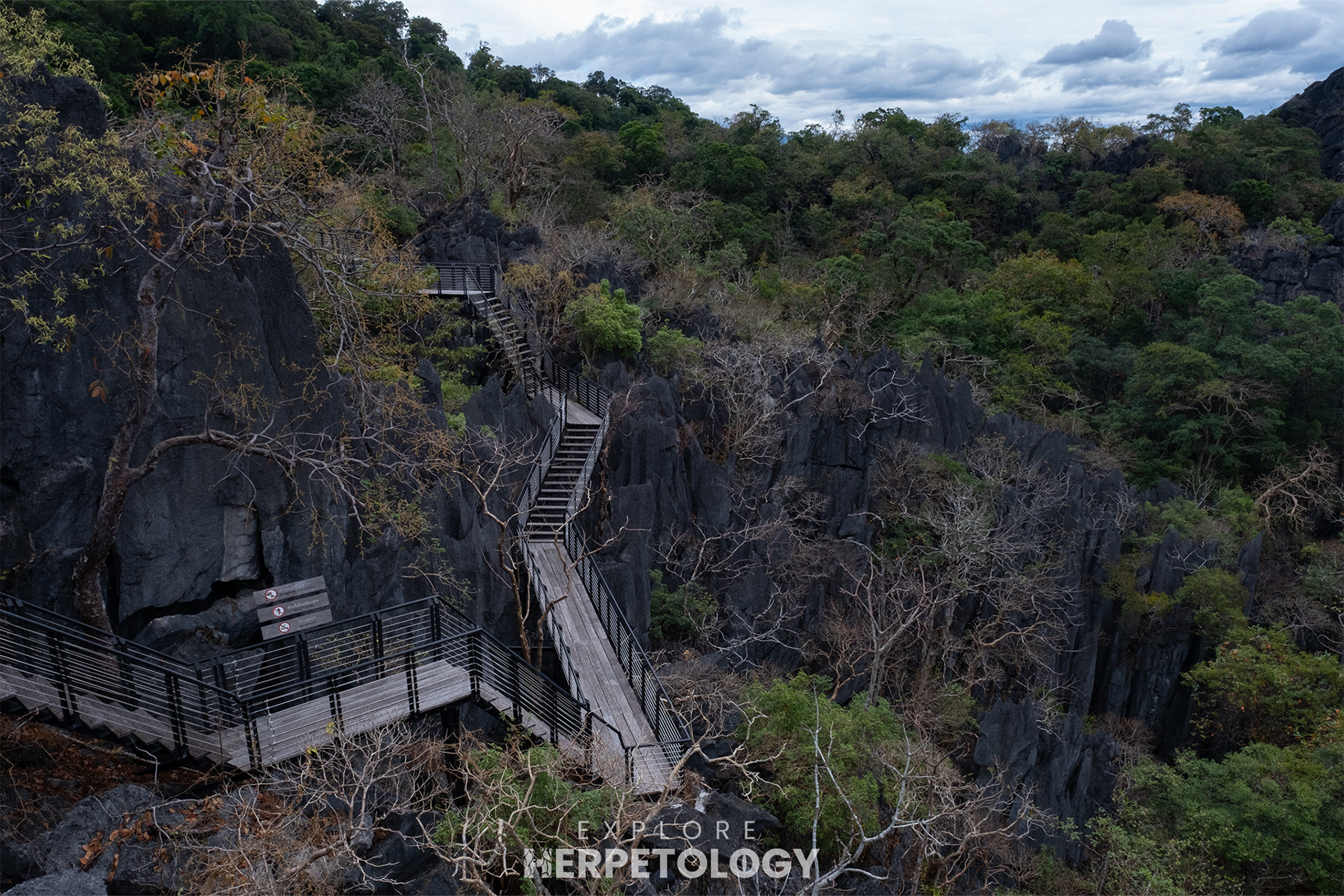Boardwalk through the karst pinnacles.