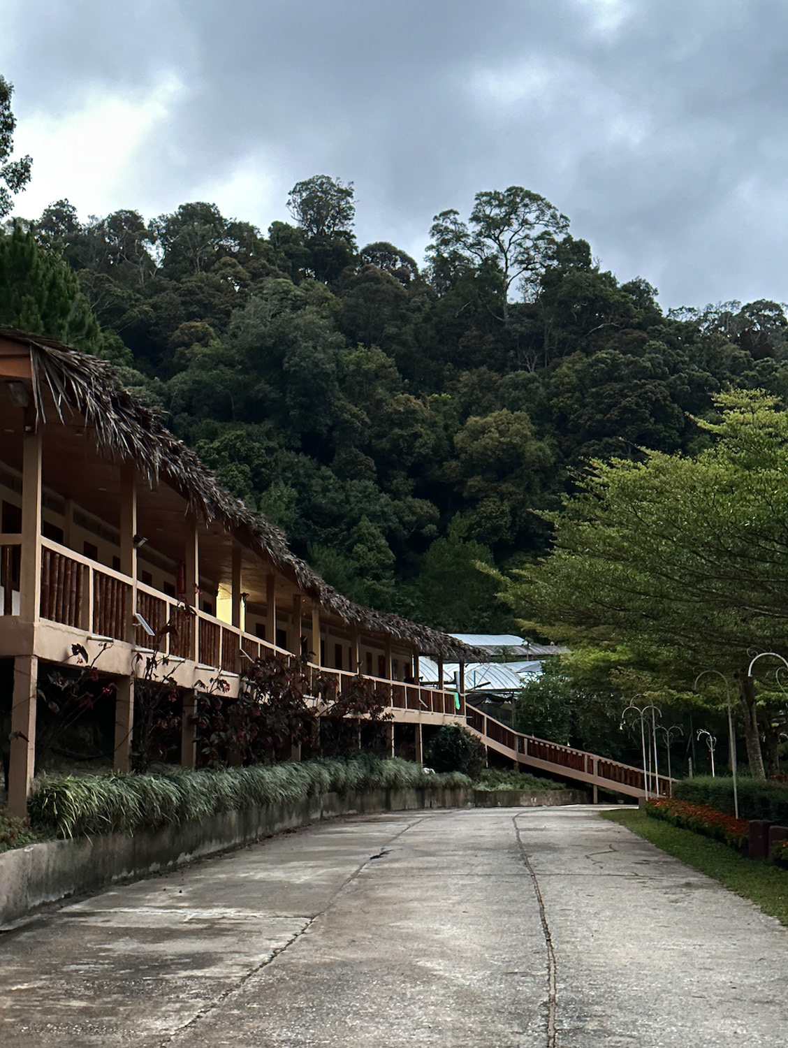 Our accommodation in the Betong highlands.