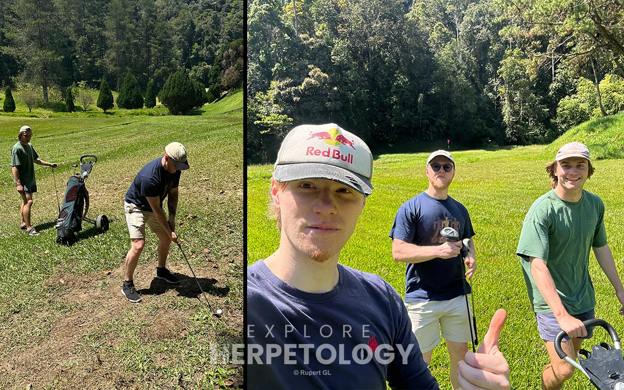 A few holes on the worst maintained golf course.