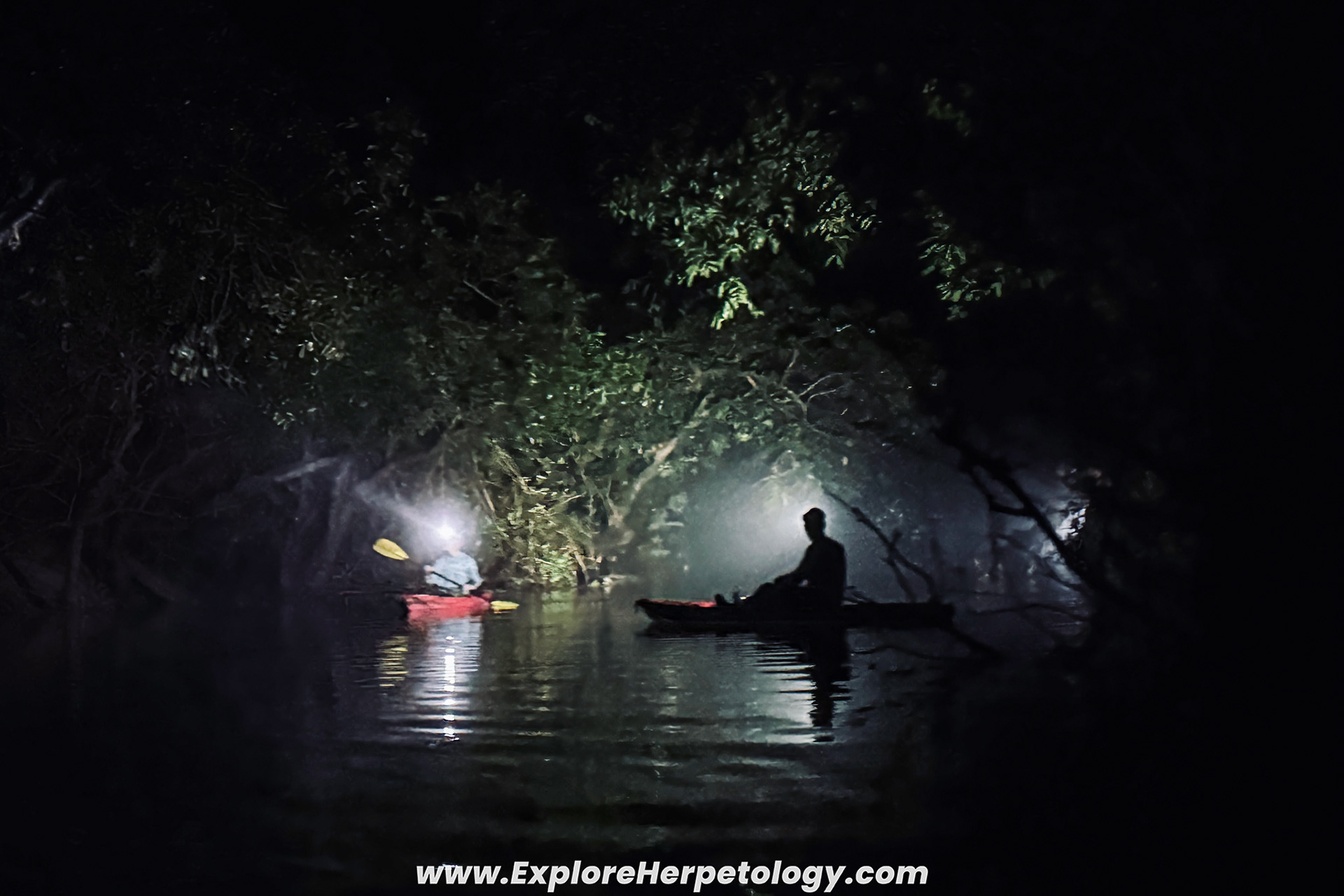 Kayaking on misty waters.
