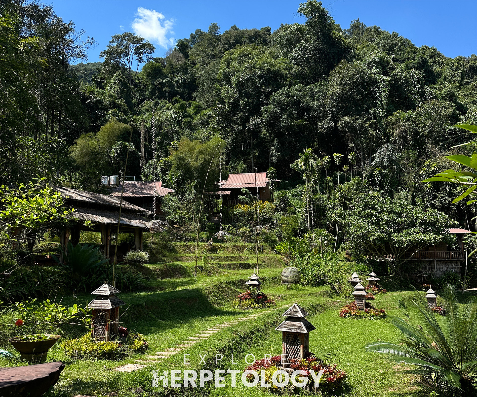Resort garden