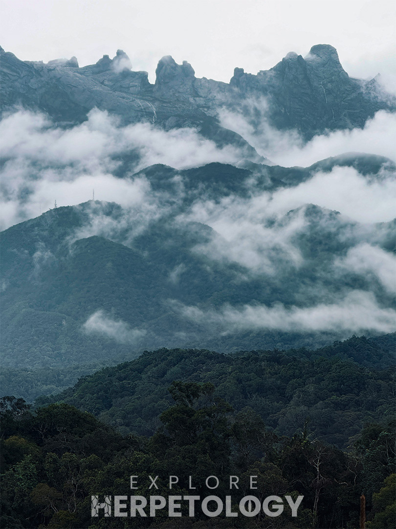 Mount Kinabalu 1500 - >4000 meters.