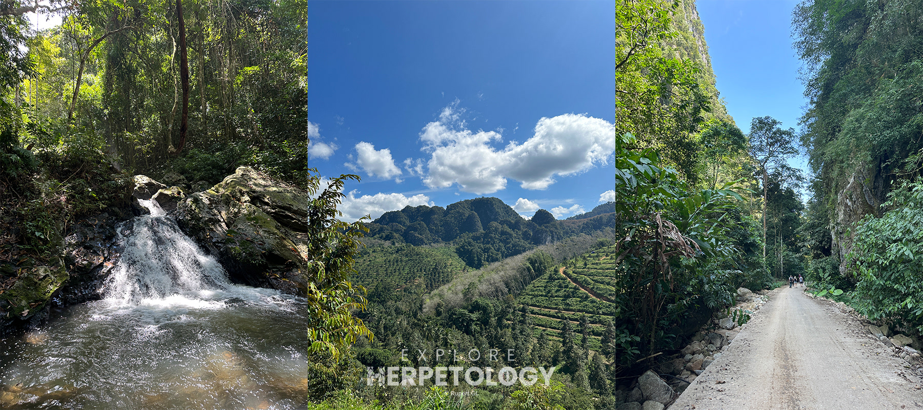 Landscapes around Than To, Yala.