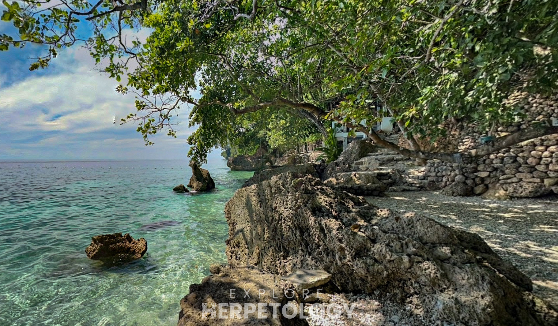 Rocky coastal area.
