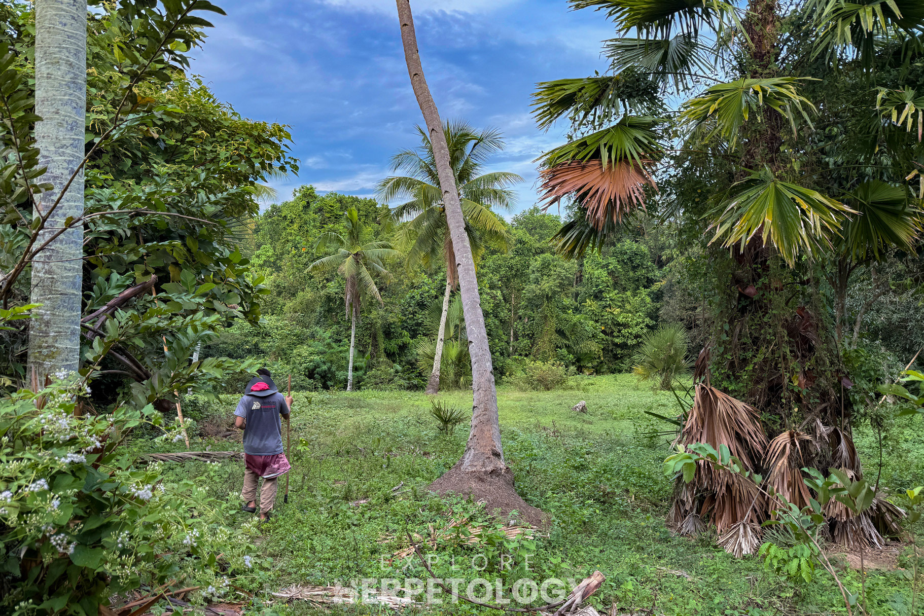 Hiking agricultural lands.