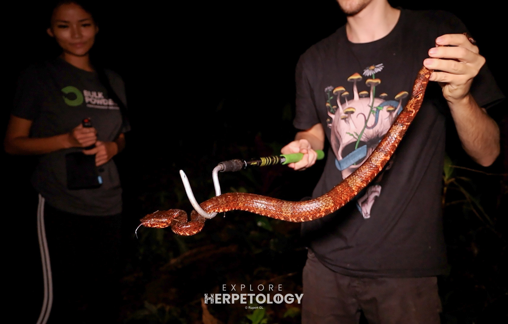 Hands-on with the Craspedocephalus wiroti