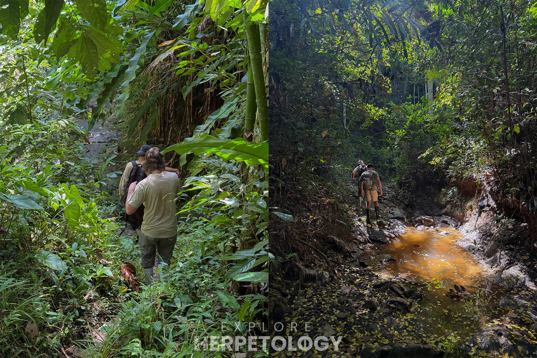 Exploring stream valleys.