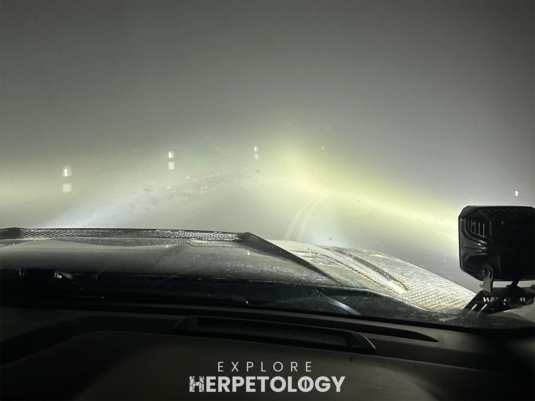 Low visibility road cruising.