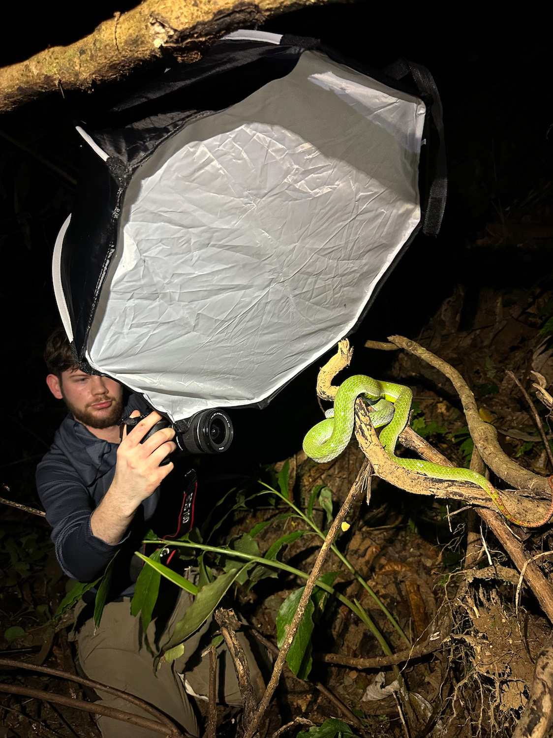 Aiden photographing the large Hagen's pit viper.