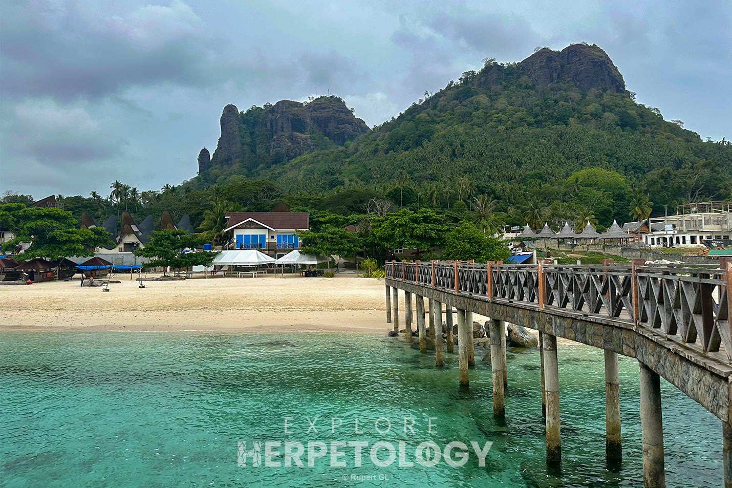 Our herping destination for the night.