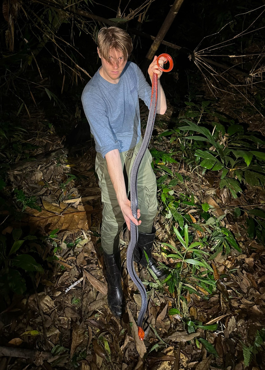 Rupert with the large red-headed krait.
