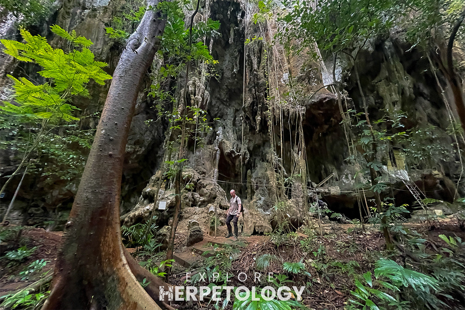 Limestone karst valley in Krabi.