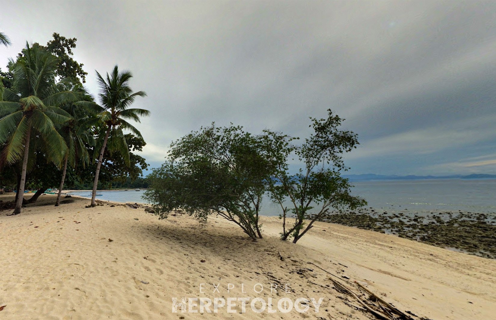 Quiet sandy beaches.
