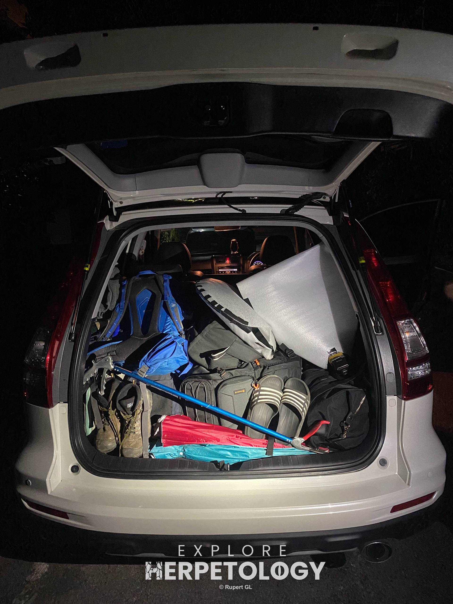 Ready to go