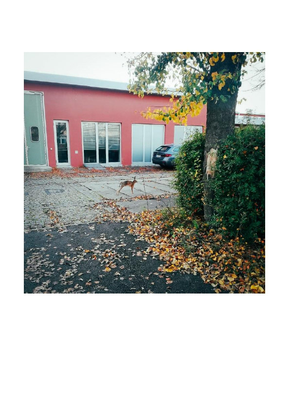 Nebenschauplatz Set I - 11/16