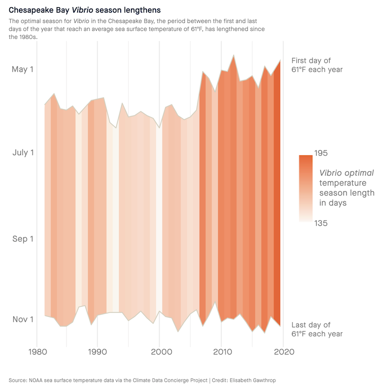 The length of time every year with conditions favorable for Vibrio has been on the rise.