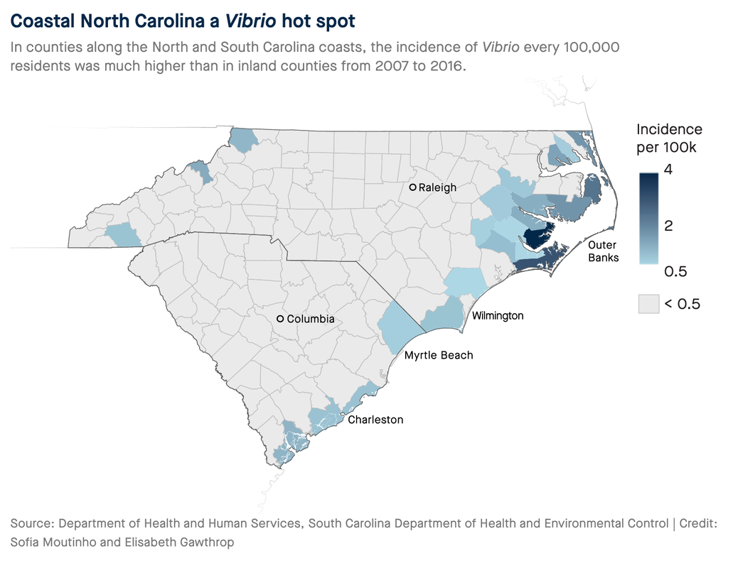 Our team calculated rates of Vibrio infections by county in North and South Carolina. Incidence of cases was much higher along the coasts.
