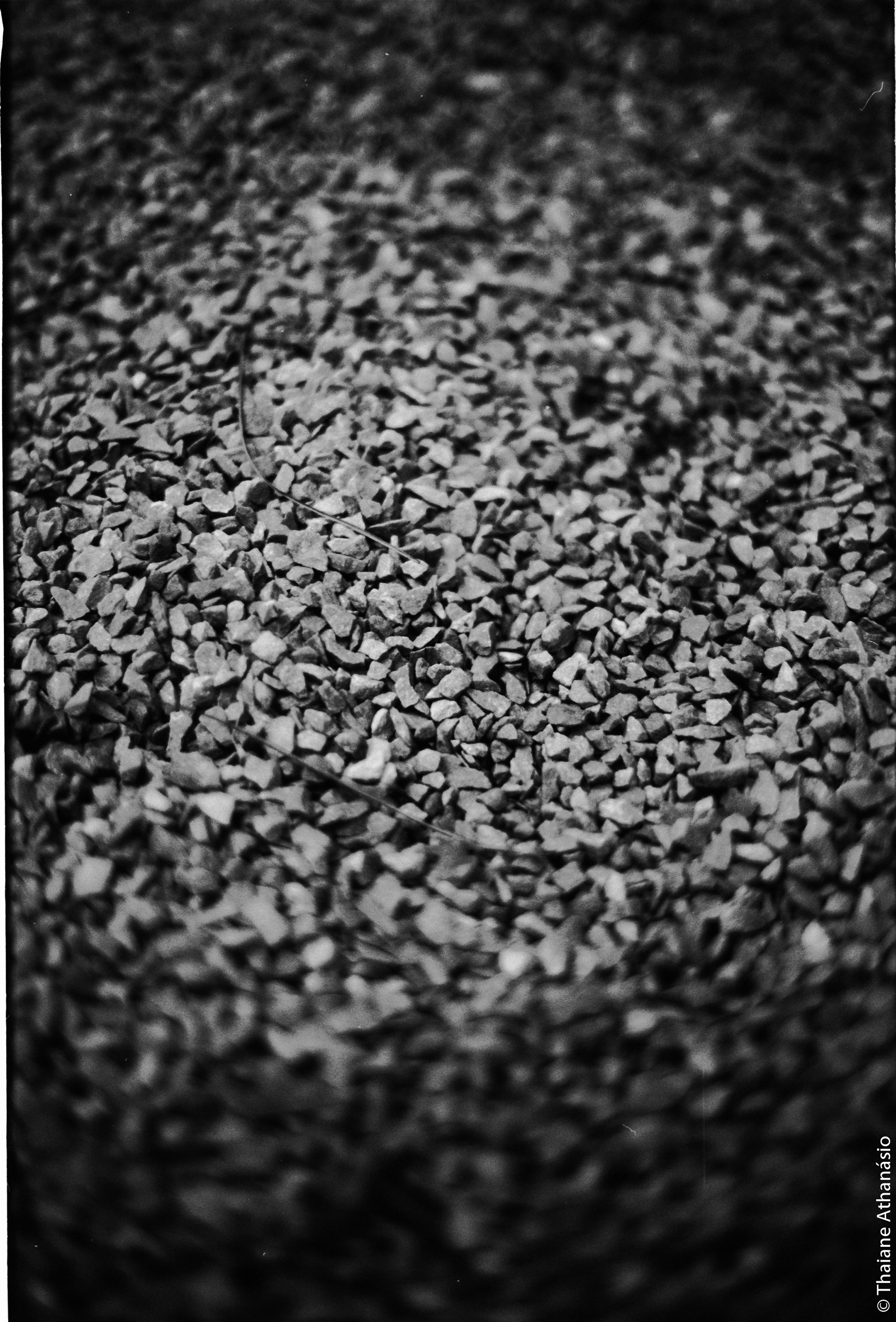 Filme: Agfa Cinerex 50