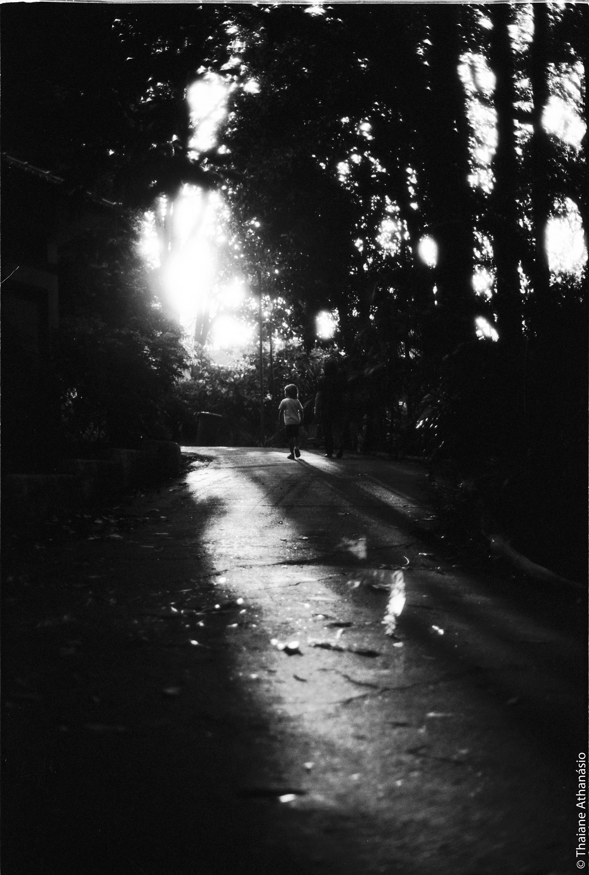 Filme: Agfa Cinerex 50