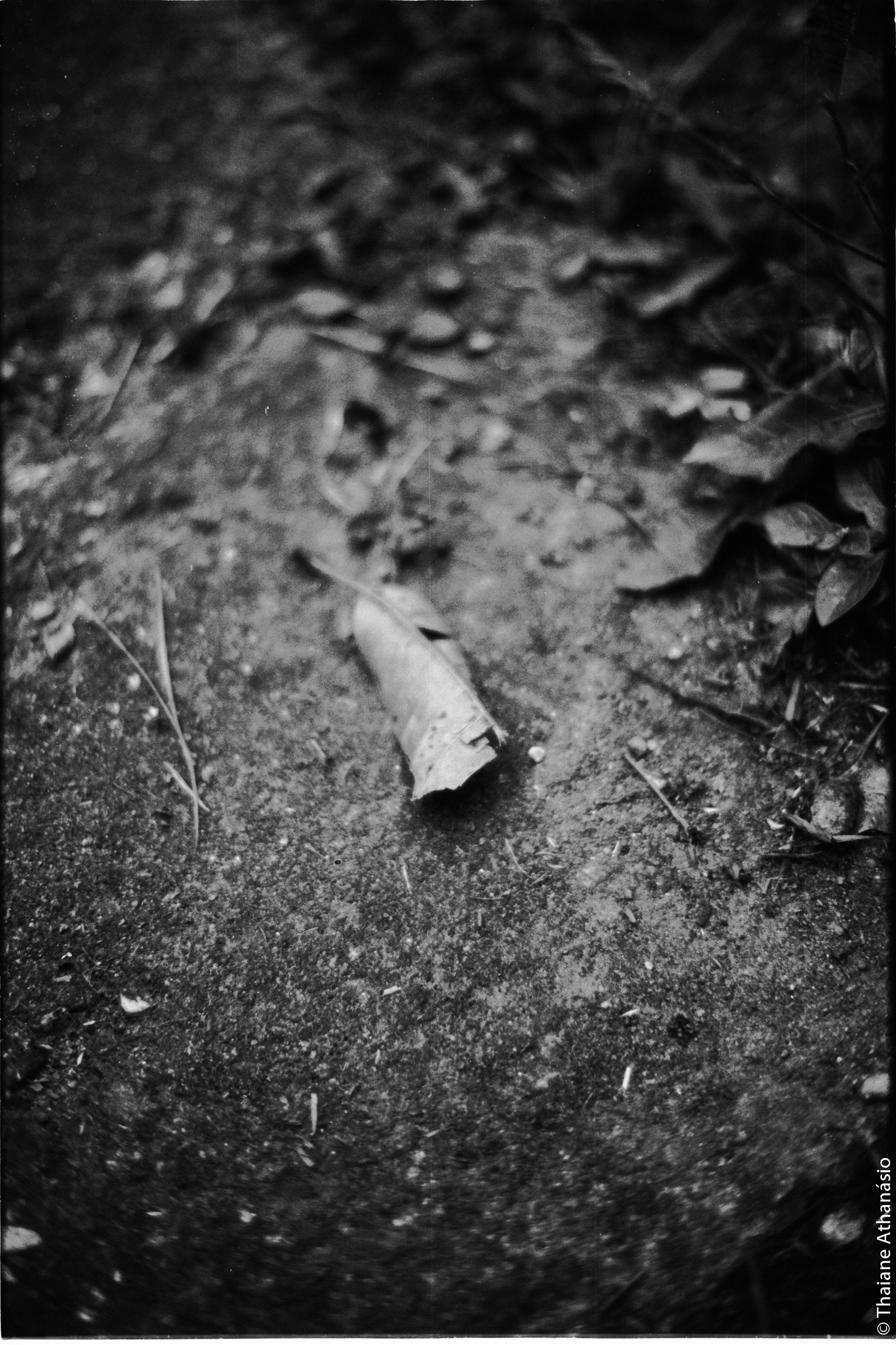 Filme: Agfa Cinerex 50
