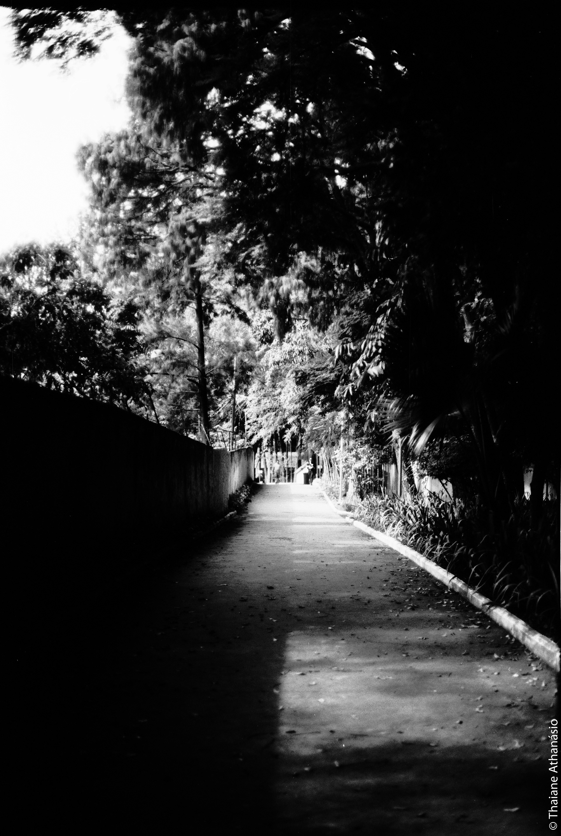 Filme: Agfa Cinerex 50