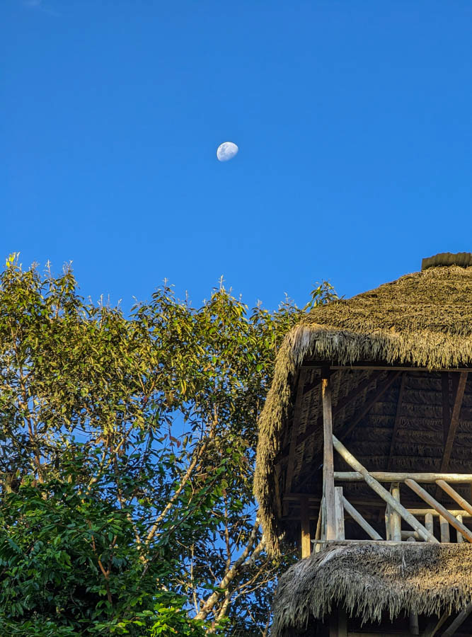 The moon over the birdwatching tower.
