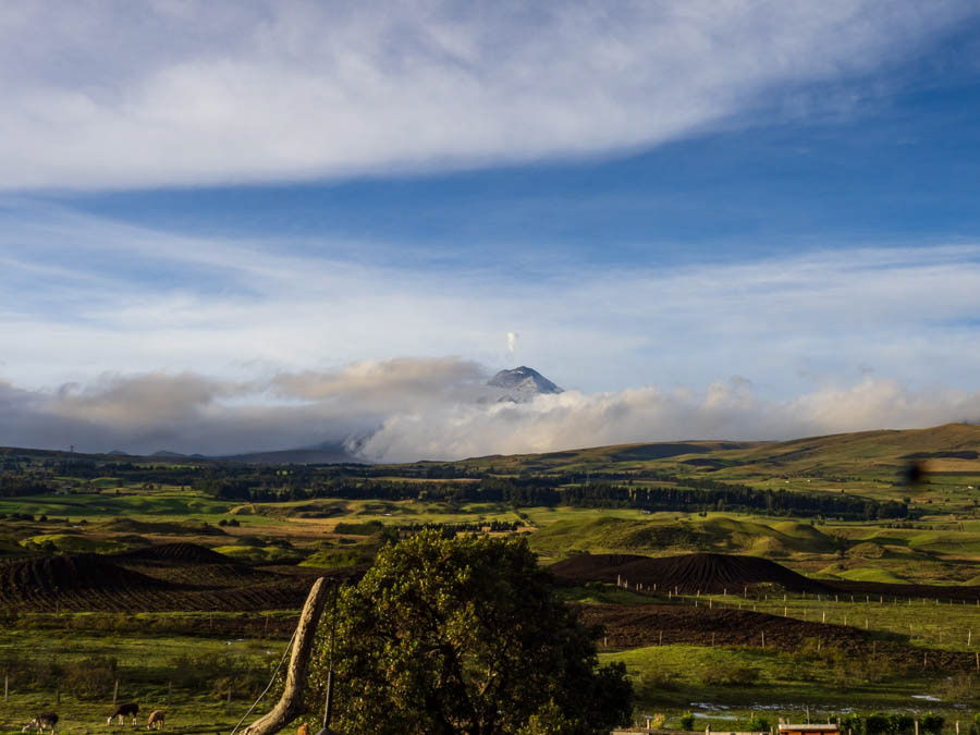 Cotopaxi from the hostel