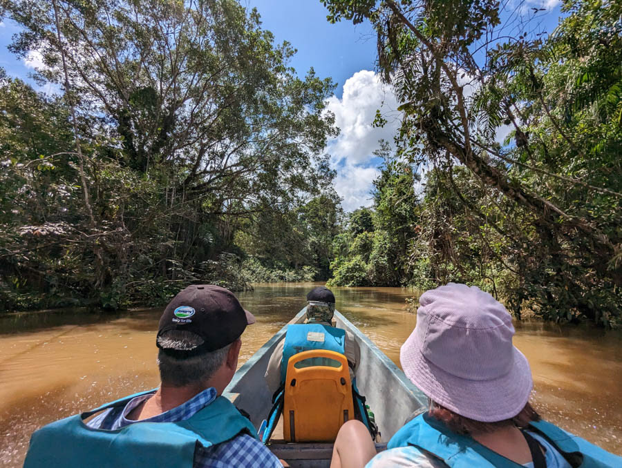 The motorized canoes hold eight people plus the guide and the captain. The guide sits in the front keeping a sharp eye for wildlife.