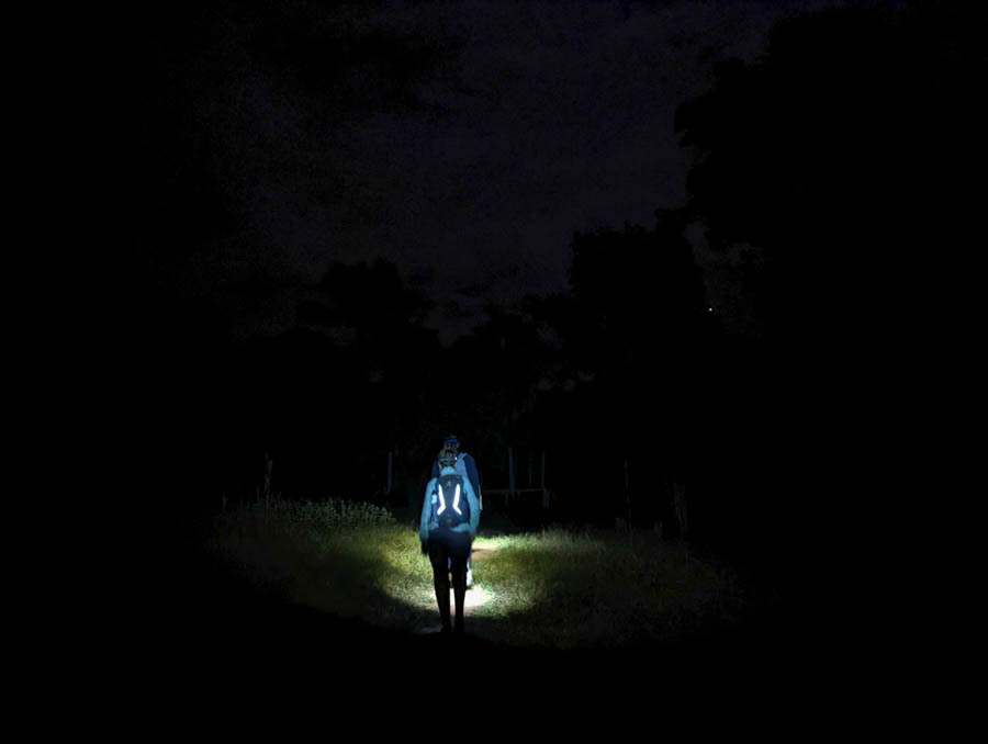 Jungle hike at night 👀
