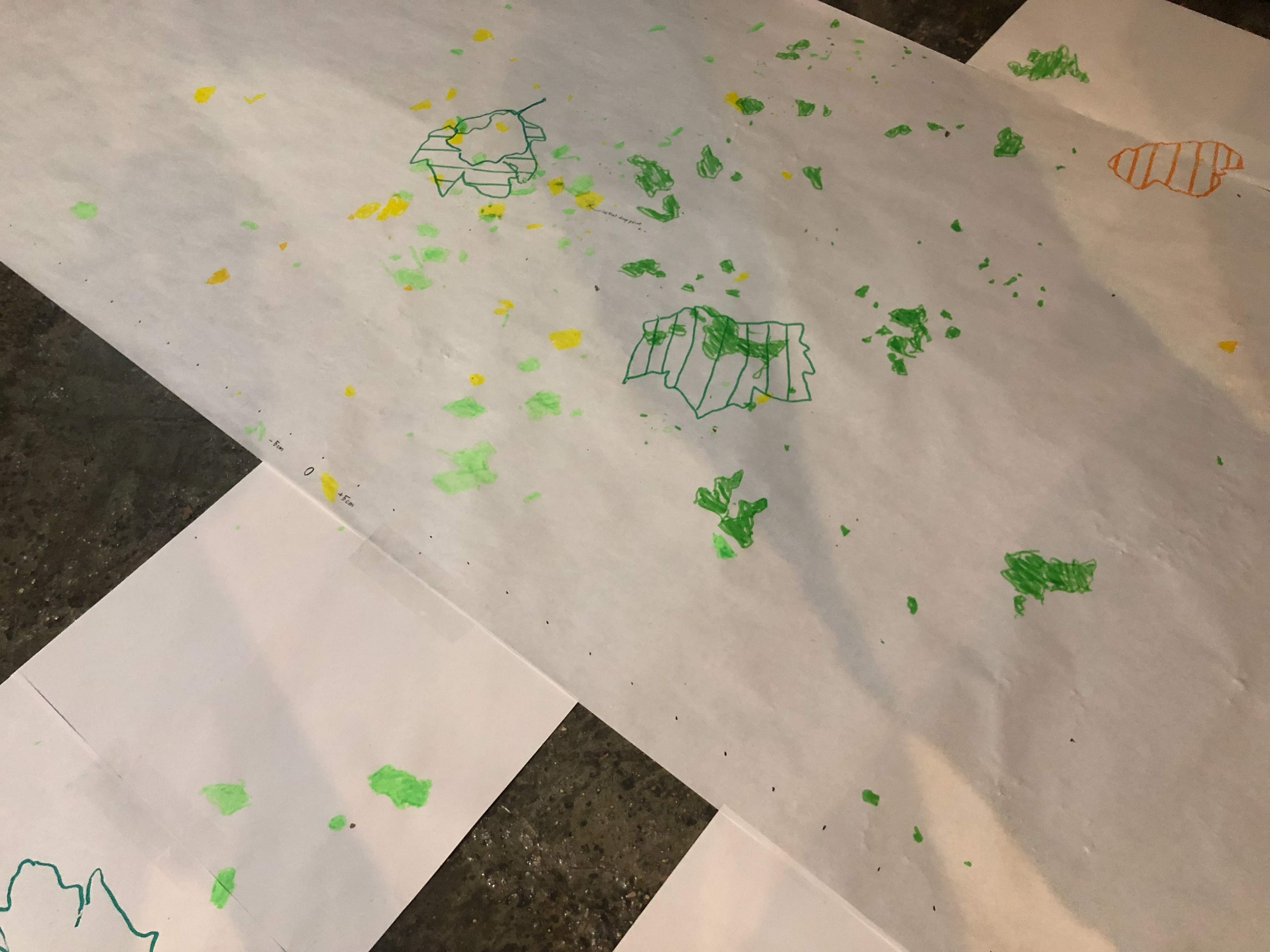 Credit: A. Rigobello.