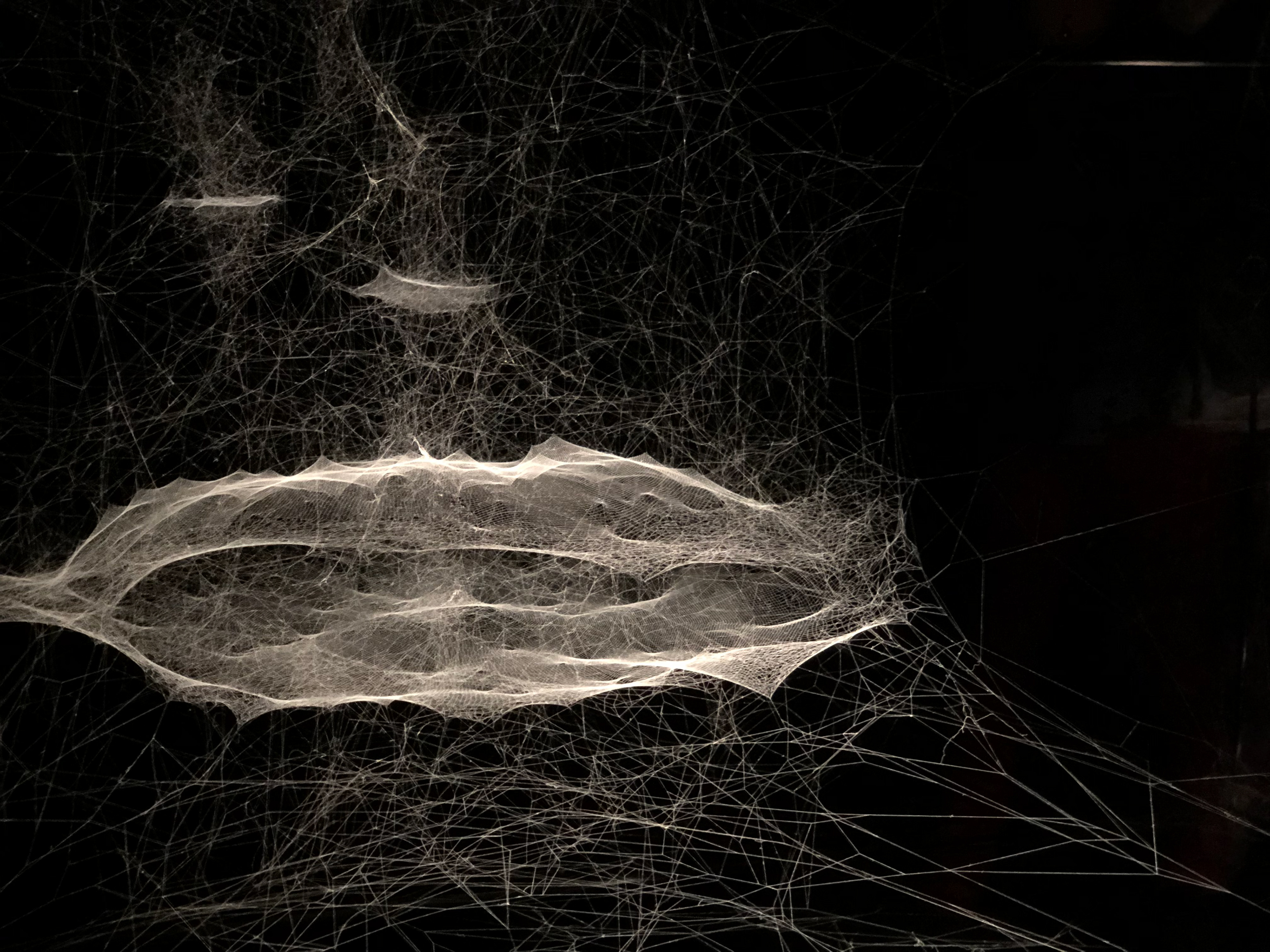 Credit: A. Rigobello.