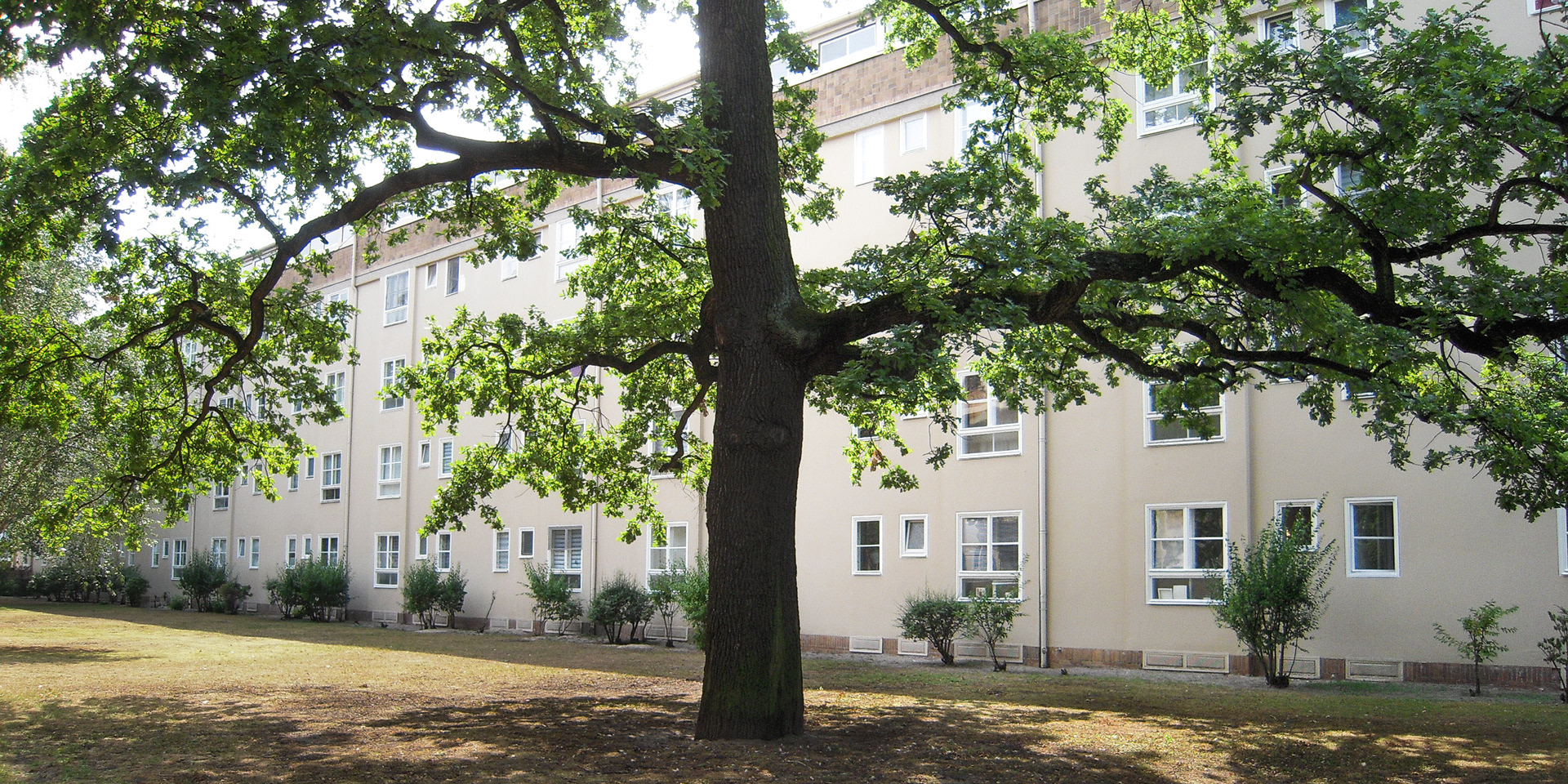 Jungfernheideweg  und  Goebelstr. - Hugo Häring  (Rückseite)