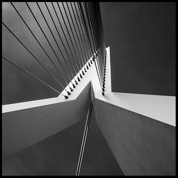 Erasmusbrug Rotterdam - 2012