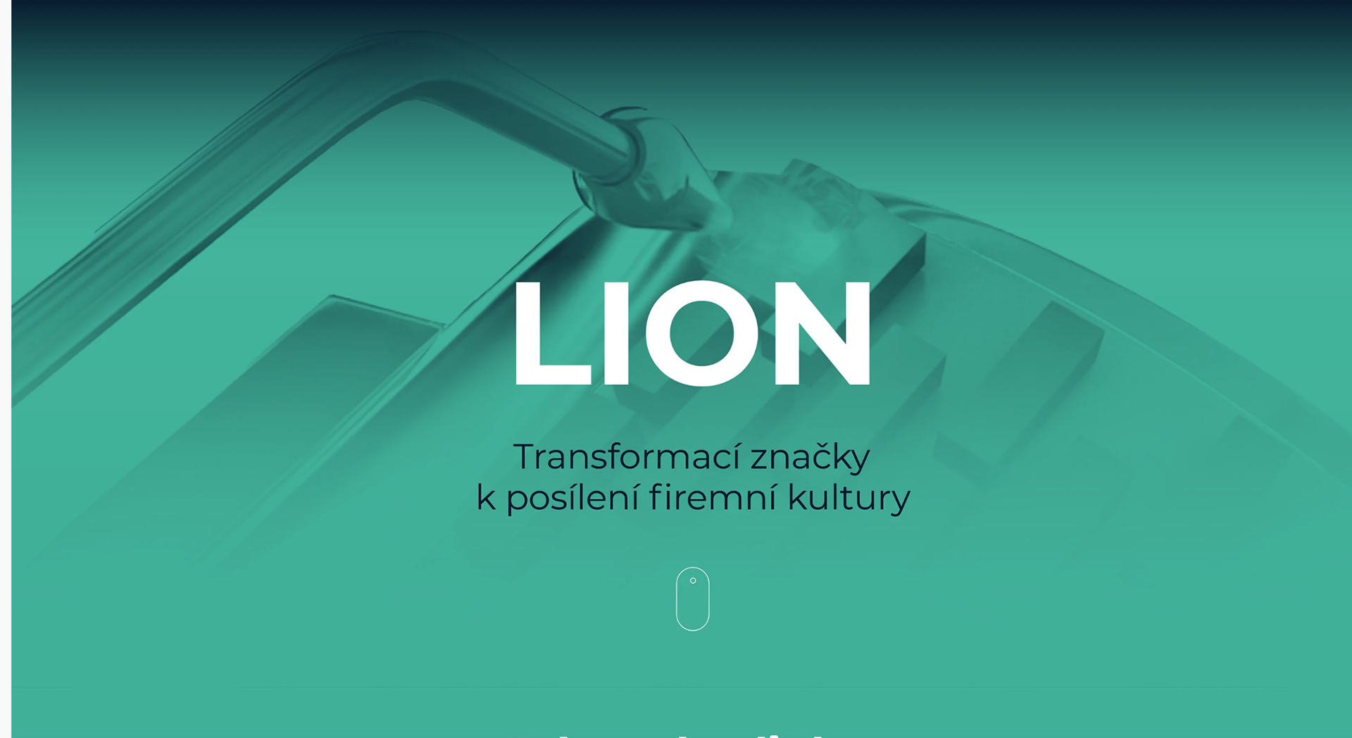  Vizuální identita Lion