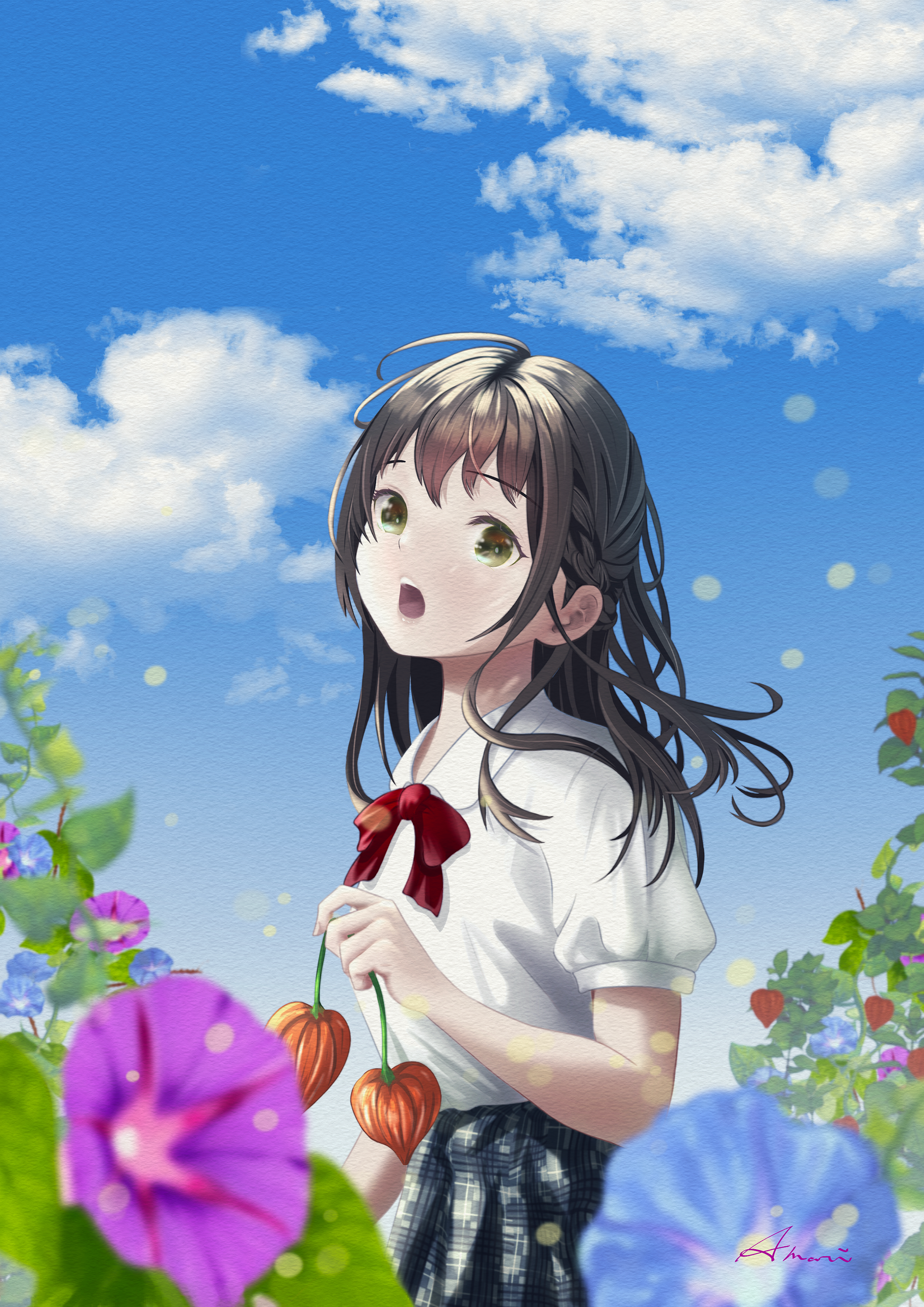 朝顔と鬼灯